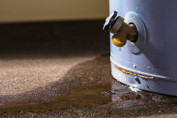 Best Ceiling water damage repair  in La Porte, TX