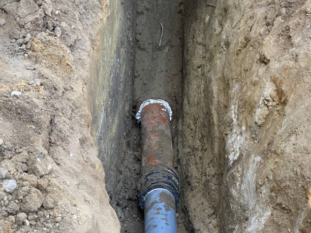 Best Professional water damage repair  in La Porte, TX