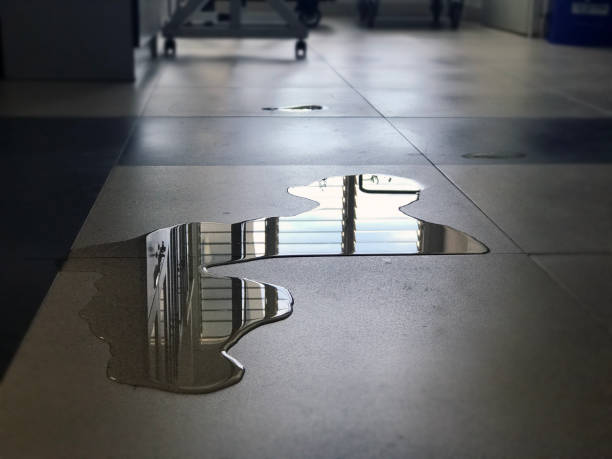 Best Commercial water damage restoration  in La Porte, TX