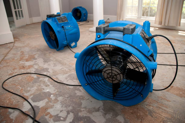 Sewage cleanup and water damage restoration in La Porte, TX